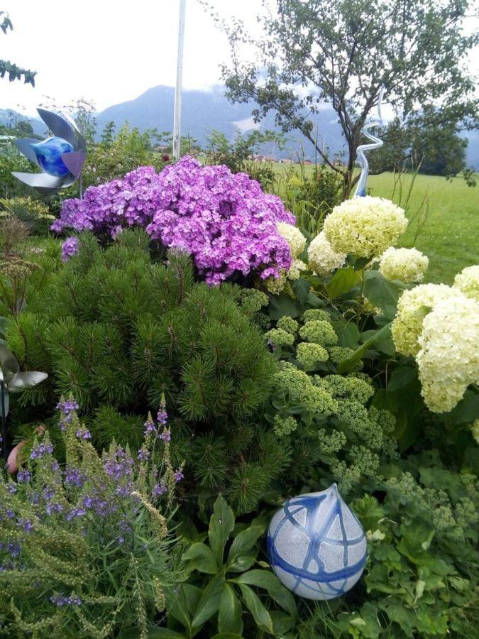 Ferienwohnung Fischerhof 弗林茨巴赫 外观 照片