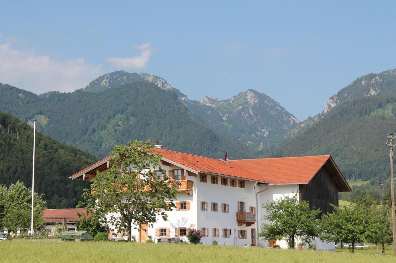 Ferienwohnung Fischerhof 弗林茨巴赫 外观 照片